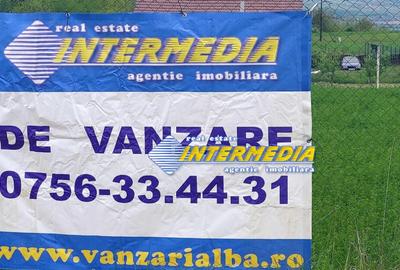 Cabana cu 900mp teren de vanzare Lunca Ampoitei, Alba - 2