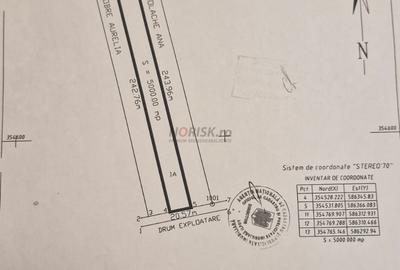Teren extravilan | Tâncăbești | 5000mp - 4