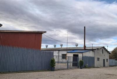 Hala industriala versatila,spatii cazare, platforma betonata,Halchiu,Brasov - 3