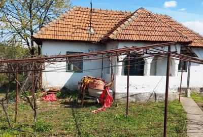 Casa cu hala industriala Dragutesti - 1