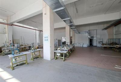 Spatiu industrial, Birouri, 3290 mp utili, situat in cartierul Iris! - 18