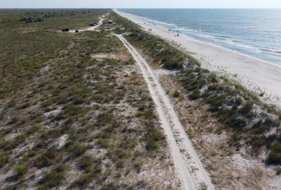 10.000 MP PRIMUL RAND LA MARE - - 1