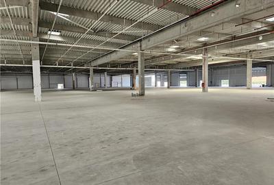 Spatiu Industrial - 3000 mp - Logistica - Productie - Depozitare - Distributie - 2