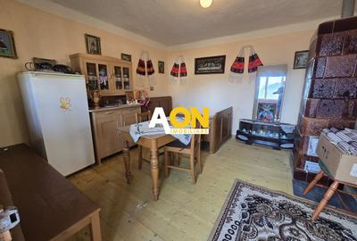 Casa de Vacanta 2 Camere, Strada Morilor Zlatna - 5