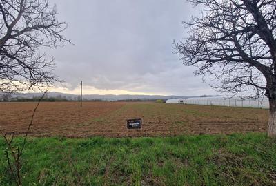 Teren Construcții intravilan de 5028 mp, în Topa de Criș