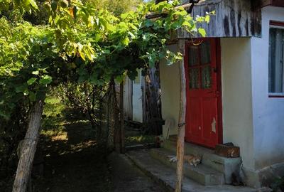 Teren cu cabana de vanzare - 4