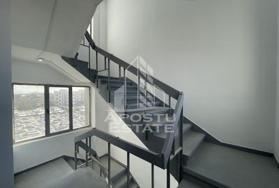 Spatii birouri, 440 pana la 1350 mp, Zona Lipovei - 5