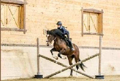 Apartamente de Vacanta - Rasnov Brasov - 18