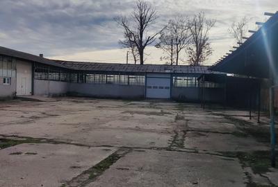 Hale + platforma betonata mp Giurgiului ( Zetari ) - 12