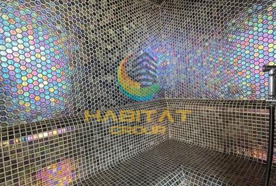 Penthouse in zona parcului Tineretului | Oraselul Copiilor 335mp - 26