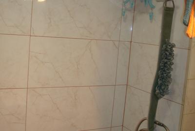 Apartament renovat, mobilat elegant penthhouse Calea Mosilor Metrou Bucur Obor - 19