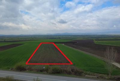 Teren intravilan de vânzare în Bicfalău! - 2