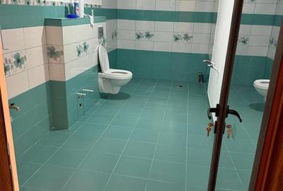 Vila P+1, Constructie  2017, zona Chercea - 15