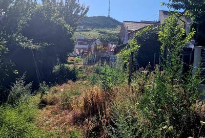 Teren intravilan Piatra Neamt - 14