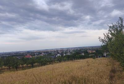 TEREN PAULESTI//10.000 MP - 2