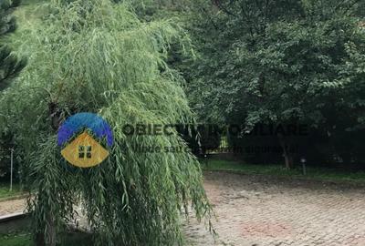 Casă de închiriat – Alexandru cel Bun, jud. Neamț - 3