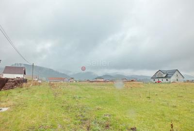 Teren Constructie Casa - 5