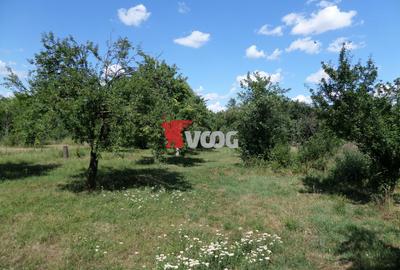 Teren intravilan | 2.810 mp|18ml|Zona Fratelia| - 4