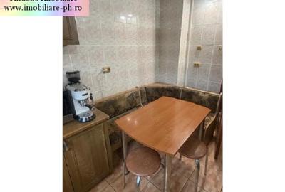 Apartament 3 camere de vanzare : 9 Mai-(Padina) - 5
