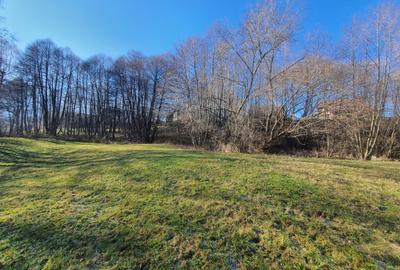 Teren rezidential zona Bran Predelut zona de case si pensiuni - 7