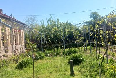 Casa de vanzare Comuna Viisoara-Judetul Teleorman - 17