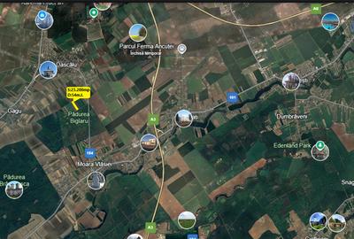 Teren compact 23.200 mp - deschidere 54m.l.- Moara Vlasiei - 1