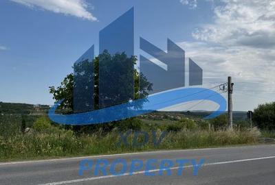 Teren intravilan parcelabil ,1020 mp, Sibiu, Daia Noua - 2