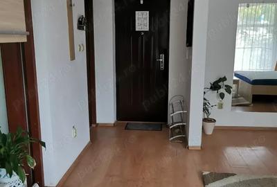Apartament o camera, 36mp, etaj intermediar, zona Petrom - 9