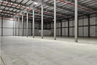 Spatiu Industrial - 2500 mp - Logistica - Productie - Depozitare - Distributie - 4