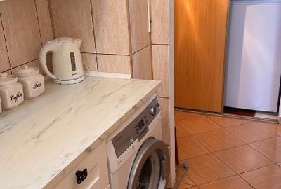 Apartament 1 camera Nicolae Grigorescu- termen lung/ scurt - pet friendly - 2