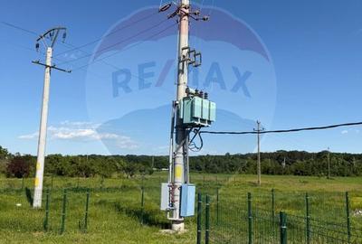 4 HALE INDUSTRIALE INDIVIDUALE SUPRAFATA TOTALA 1.407 mp, Acces DN 1 - 3