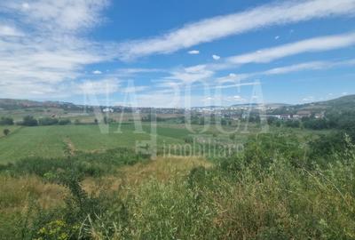 Teren intravilan pentru constructii de vanzare in Borhanci, Cluj Napoca - 1