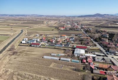 Teren intravilan cu hala construita - 23