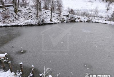 Casa de vacanta, cu lac, 5640 mp teren, Huta, com. Chiuiesti, jud. Cluj - 42