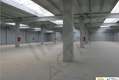 Spațiu industrial, 5160 mp în Glina