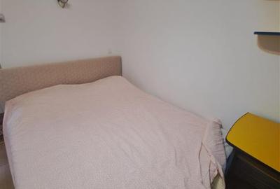 Apartament 1 Camera Zimbru 280 euro - 10