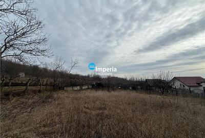 Teren intravilan de vanzare in Iasi, zona Copou - 2