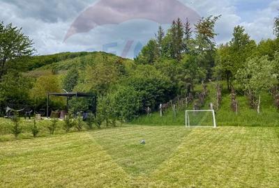 Vanzare Vila la munte - 57