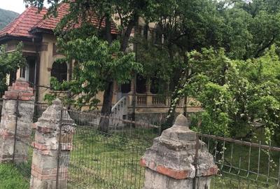 Conac autentic cu arhitectură deosebită!Proprietate cu caracter și teren 7.817mp - 4