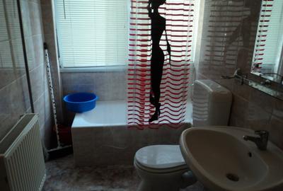 Apartament 2 camere Cismigiu - Sala Palatului - 13