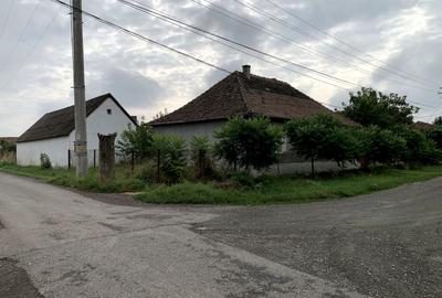 Casa individuala în Otelec - 3.313 mp teren - 2 fronturi stradale - 1