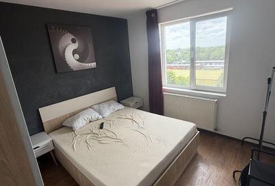 Apartament 2 camere Crangasi - 9