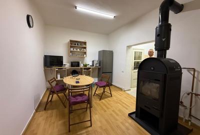 Casa cu 3 camere, P+1, 100 mp utili - zona Blascovici - 2