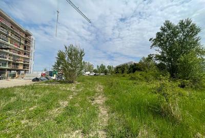 Teren Sisesti 9055 mp teren superb deschidere str lac 60 m - 7
