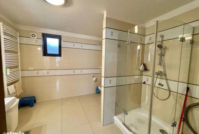 Vila individuala 7 camere de vanzare Piata Presei | Damaroaia | Parcul Herastrau - 8