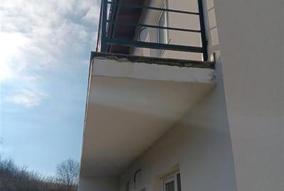 Mutare imediata! LIBERA - LA CHEIE  Visani vila P+1 duplex la str. Principala - 16