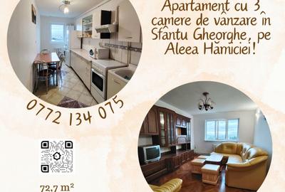Apartament cu 3 camere de vânzare în Sfântu Gheorghe, pe Aleea Hărniciei! - 1