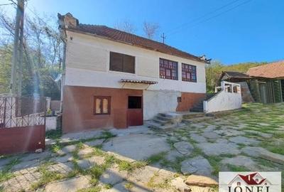 Casa de vanzare cu 46774 mp teren in zona Vintu - 4