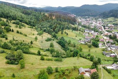 Teren 6,865mp Voroneț / Gura Humorului / Bucovina - 14