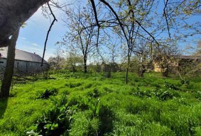 Teren intravilan intre case - 2079 mp - Movilita - 6